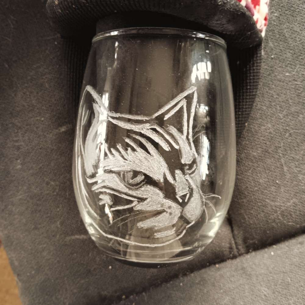 Cat etched drinking glass